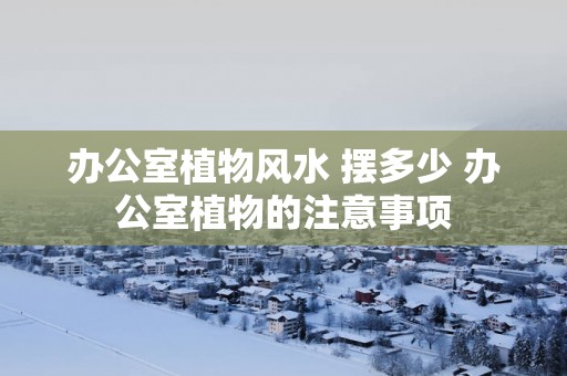 办公室植物风水 摆多少 办公室植物的注意事项