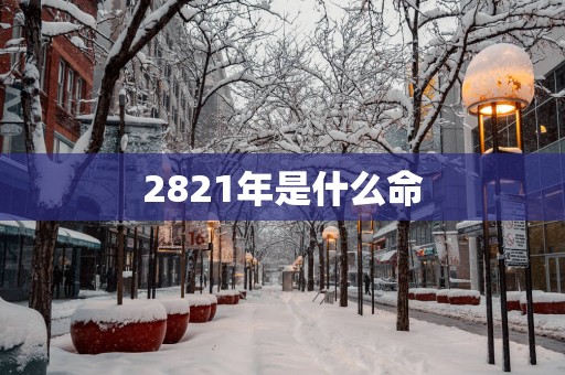 2821年是什么命