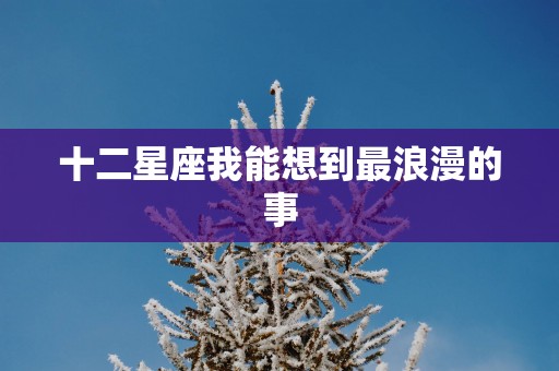 十二星座我能想到最浪漫的事