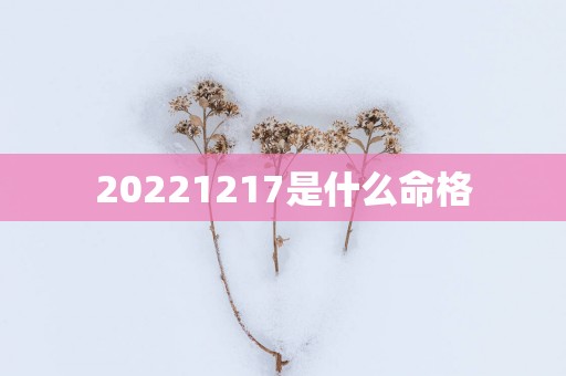 20251217是什么命格