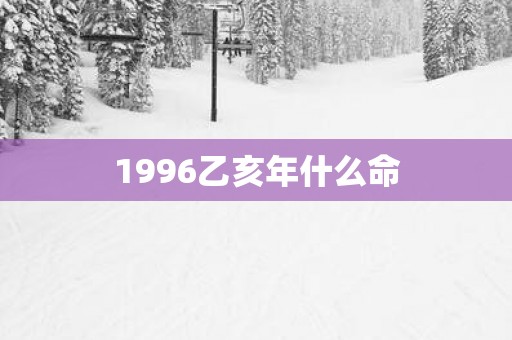 1996乙亥年什么命