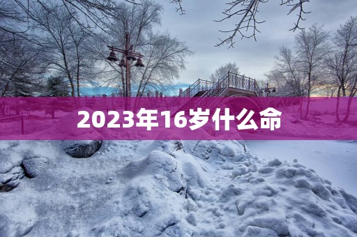 2025年16岁什么命