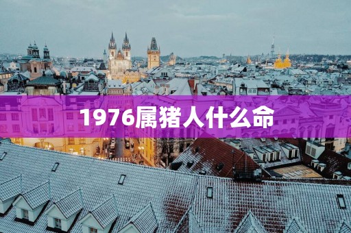 1976属猪人什么命