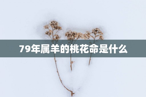 79年属羊的桃花命是什么
