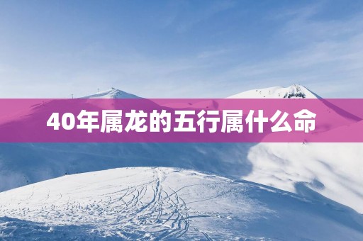 40年属龙的五行属什么命