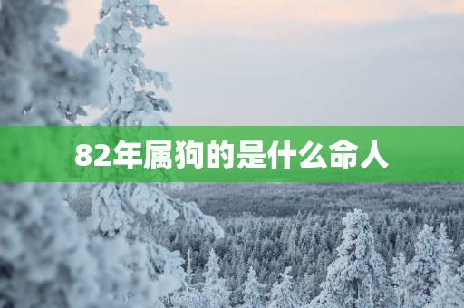82年属狗的是什么命人