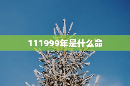 111999年是什么命