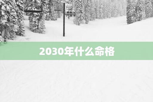 2030年什么命格