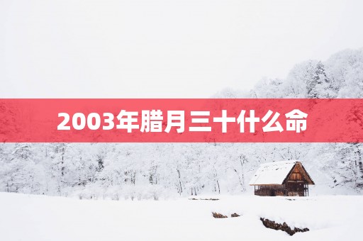 2003年腊月三十什么命