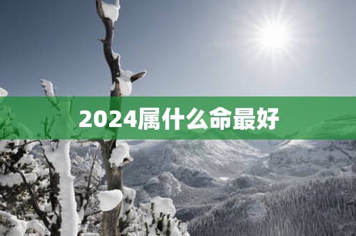 2025属什么命最好