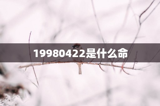 19980422是什么命