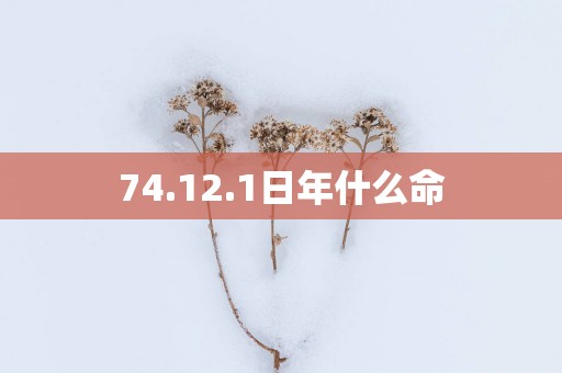 74.12.1日年什么命