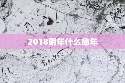 2018明年什么命年