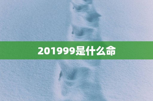 201999是什么命