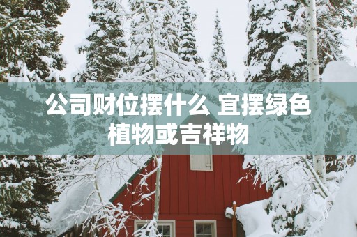 公司财位摆什么 宜摆绿色植物或吉祥物