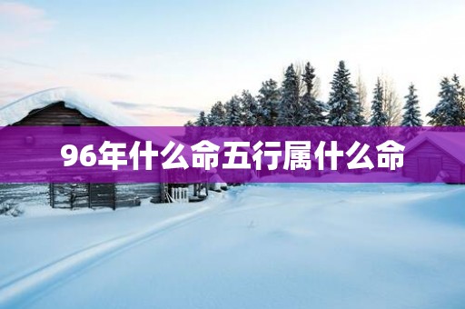 96年什么命五行属什么命