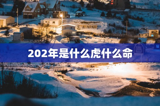202年是什么虎什么命