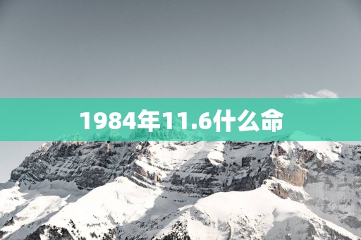 1984年11.6什么命 1984年11.6什么命