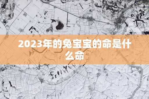 2025年的兔宝宝的命是什么命