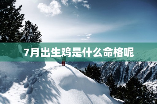 7月出生鸡是什么命格呢