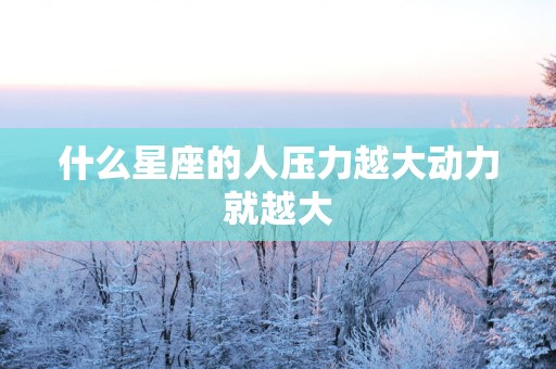 什么星座的人压力越大动力就越大