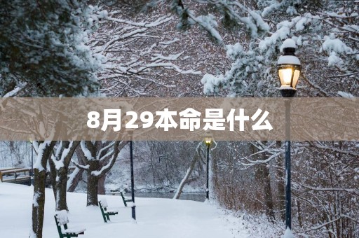 8月29本命是什么