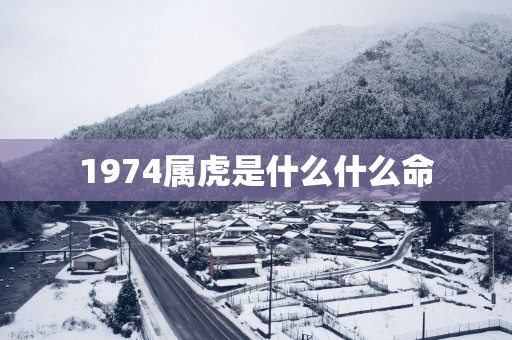 1974属虎是什么什么命