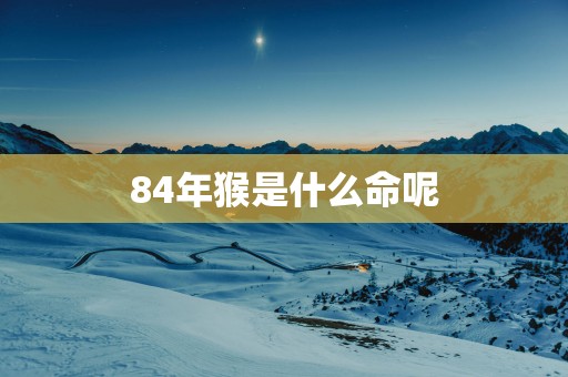 84年猴是什么命呢