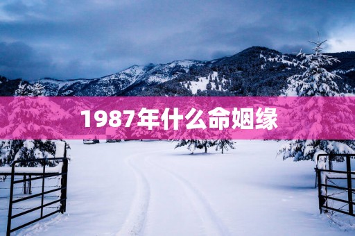 1987年什么命姻缘