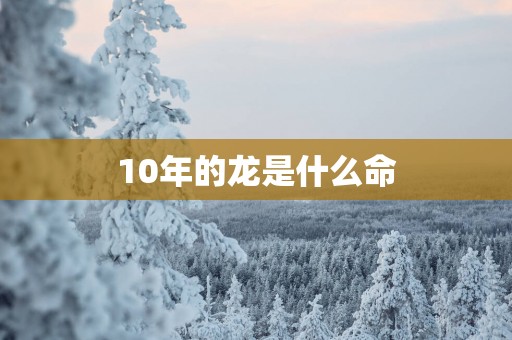 10年的龙是什么命