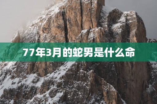 77年3月的蛇男是什么命