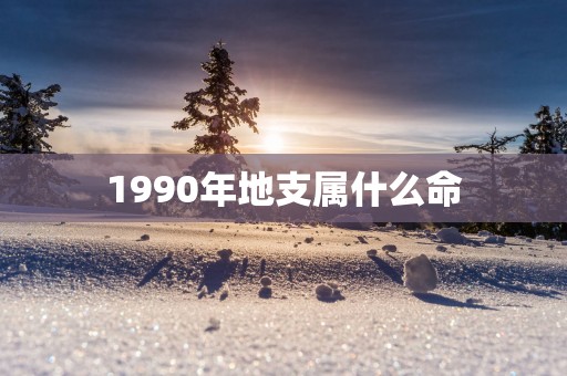 1990年地支属什么命