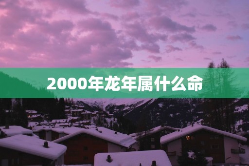 2000年蛇年属什么命