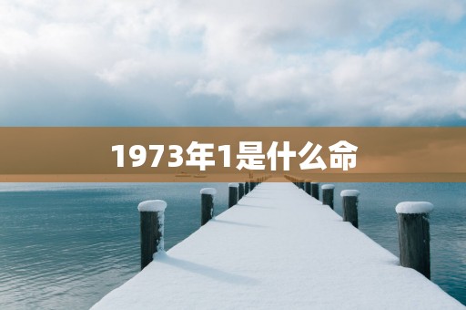 1973年1是什么命