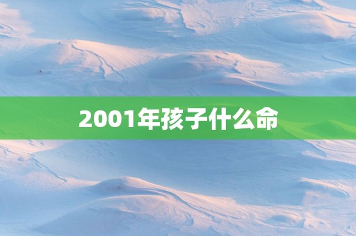 2001年孩子什么命