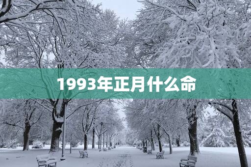 1993年正月什么命