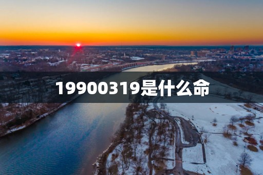 19900319是什么命
