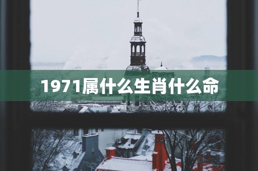 1971属什么生肖什么命