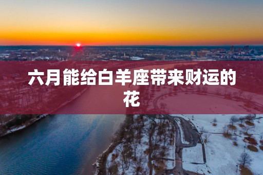 六月能给白羊座带来财运的花