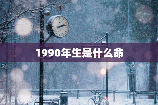 1990年生是什么命