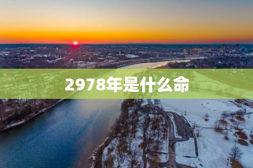 2978年是什么命