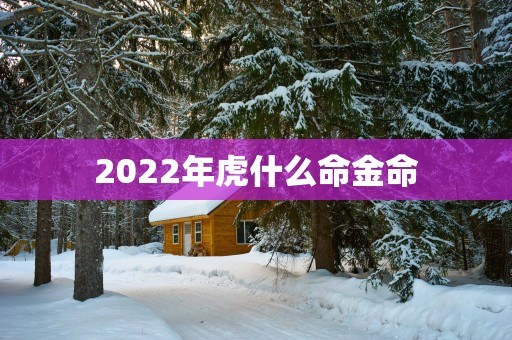 2025年虎什么命金命