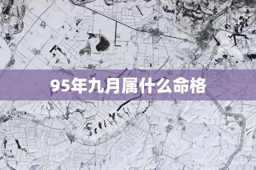 95年九月属什么命格