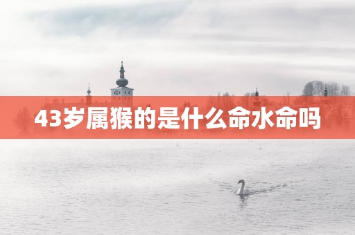 43岁属猴的是什么命水命吗