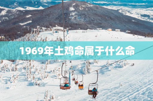 1969年土鸡命属于什么命