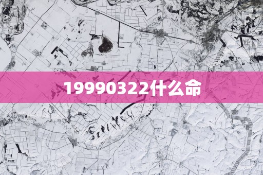 19990322什么命