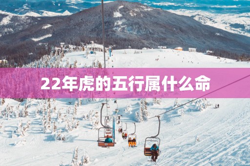22年虎的五行属什么命