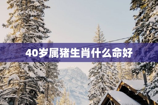 40岁属猪生肖什么命好