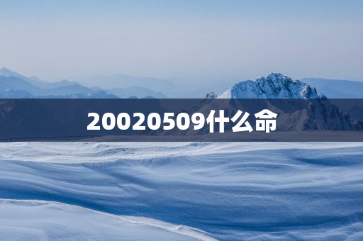 20020509什么命