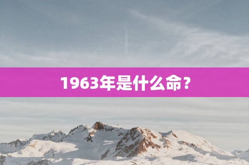 1963年是什么命？